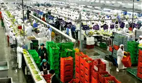 Perú encabeza crecimiento de exportaciones no tradicionales de los últimos cinco años en la región, según BCR