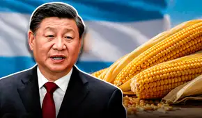 China compra maíz de un país de Sudamérica por primera vez en más de 10 años y proyectan que exportación supere 40 millones de toneladas