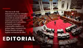 El Senado tiene una obligación: consensuar para salvar al país