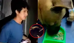 Sujeto es acusado de grave maltrato contra su perrito y vecinos piden rescate urgente en Independencia: "No quieren entregarlo"