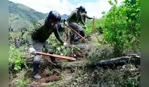 Proyecto Especial Corah será disuelto tras 43 años de funcionamiento