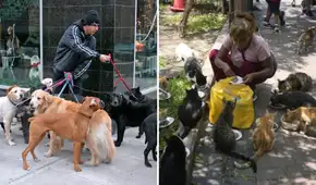 En esta ciudad del Perú sancionarán con multas de hasta S/1.100 a dueños que tengan más de dos mascotas