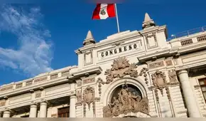 Alerta: el Congreso no para, por Marisa Glave