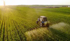 El país de Sudamérica que es el único autosuficiente del mundo: puede producir los 7 grupos alimenticios que necesita