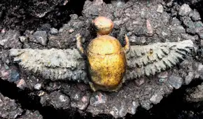 Arqueólogos descubren un escarabajo sagrado egipcio, pero enterrado a miles de kilómetros en España dentro de una tumba prerromana