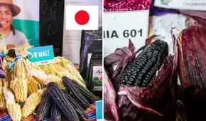 El superalimento peruano que conquista Japón: tiene 52 variedades y exportaciones ya superan los US$ 46 millones