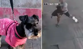 Héroe sin capa: joven atrapa en el aire y salva la vida a perrito que cayó desde un tercer piso en El Agustino