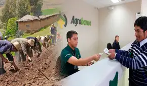 Midagri: Fondo Agroperú destina más de S/226 millones en créditos agropecuarios beneficiando a 14.059 pequeños productores del país