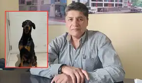JNE vaca a alcalde de Arequipa por disponer que personal municipal cuide a su mascota "Flechita"