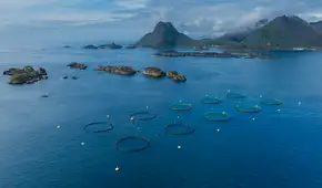 Las joyas naturales de Noruega al borde de la desaparición tras ser afectadas por industria clave: no es el petróleo ni el gas natural
