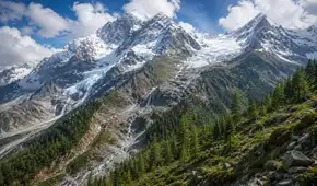 El Himalaya se está llenando de árboles y los científicos advierten que no es una buena noticia