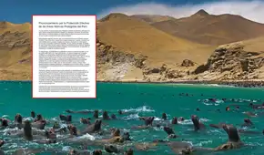 Congreso: Más de 400 científicos piden aprobar ley que protege áreas marinas de la pesca industrial