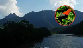El parque natural que acaba de cumplir 61 años: posee más de 4.000 hectáreas de zona protegida, viven más de 650 especies, entre ellas, el ave nacional