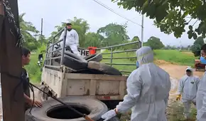 Brote de dengue en San Martín: reportan más de 600 casos y la muerte de un niño de 9 años