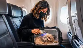 ¿Viajas con tu perro o gato en Europa? La UE exige microchip con código de país en tus mascotas a partir de esta fecha