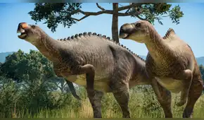 Un fósil intacto revela que los dinosaurios no rugían como en las películas: cantaban como las aves