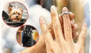 Si una pareja que tenía una mascota termina separándose, ¿con quién se queda el 'engreído'? Esta es la respuesta legal que necesitas saber