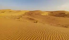 El proyecto ecológico más ambicioso del mundo: 11 países de África luchan juntos para detener el avance del desierto del Sáhara