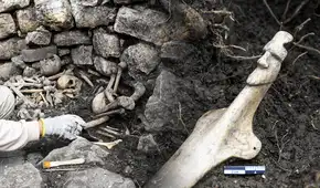Arqueólogos de Perú descubren tumba de hace 600 años en Kuélap con restos humanos y ofrendas ceremoniales únicas