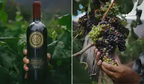 Wayocari, el vino peruano producido a 2.900 m.s.n.m. que conquistó el paladar de famoso crítico británico y lo colocó entre los mejores del mundo