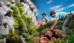 Exportaciones generan más de 1,5 millones de empleos: ¿qué sectores crean más trabajo en Perú?