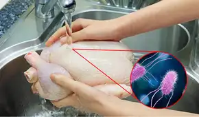 ¿Lavas el pollo antes de guardarlo o cocinarlo? Este hábito podría enfermar a tu familia sin que lo notes