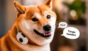 China lanza un collar con IA para perros y gatos que traduciría sus sonidos y movimientos con 95% de efectividad
