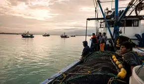 Produce paraliza pesca de anchoveta por El Niño Costero hasta el 10 de junio: ¿qué advierte Imarpe tras la ampliación de la medida?