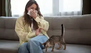 La verdadera causa de la alergia a los gatos: por qué el pelo no es el problema, según la ciencia