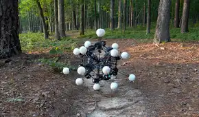 Con 20 patas para trepar paredes y moverse entre árboles: científicos crean el cuerpo ideal para un robot