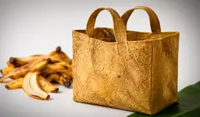 Científicas logran convertir cáscaras de plátano en bolsas biodegradables que podrían reemplazar el plástico para las compras
