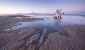 No existe en ningún otro lugar de la Tierra: científicos descubren una criatura misteriosa bajo un lago ultrasalado