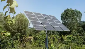 De campos sin vida a ecosistemas verdes: los parques solares en España que reparan el daño histórico de la agricultura intensiva