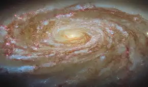 El telescopio Hubble captura una galaxia siendo despojada lentamente de su futuro por poderosas fuerzas cósmicas