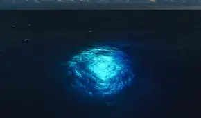 Científicos sumergen un robot submarino y descubren criaturas misteriosas en la oscuridad del océano Atlántico