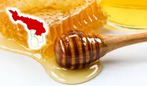 La provincia peruana que decidió proteger a las abejas por una razón que afecta directamente a tu comida