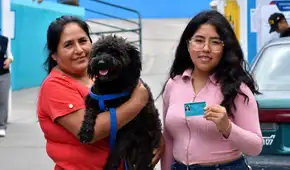 ¡Una compañía especial! Ciudadanos acudieron a votar junto a sus perritos en la segunda vuelta electoral 2026