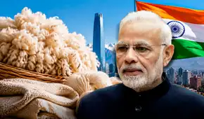 India compra por primera vez lana ovina de un país de América Latina y la posiciona en uno de los mayores mercados textiles del mundo