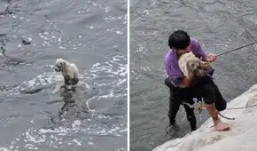 Joven arriesga su vida y salva a perrito que cayó al río Rímac: "Lo vi y solo pensé en rescatarlo"