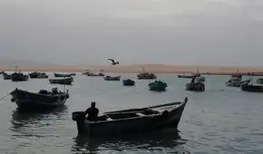 Fujimorismo y ‘lobby’ empresarial a favor de la pesca industrial