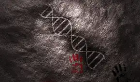 Científicos identifican un ADN antiguo compartido con los neandertales que podría explicar el lenguaje humano