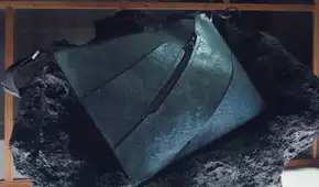El bolso más raro del año, hecho con ADN de dinosaurio, que generó expectativa pero fracasó en su subasta: cuesta más de 300.000 euros