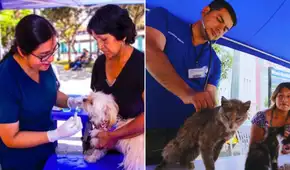 ¿Tienes mascota? Este distrito de Lima Metropolitana ofrecerá atención veterinaria gratuita este domingo 14 de junio