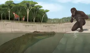 El cazador de Lucy fue revelado por los científicos: un cocodrilo gigante aterrorizó a los primeros ancestros humanos
