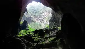La cueva más grande del mundo esconde fósiles prehistóricos, ríos subterráneos y una selva donde cabe un rascacielos de 40 pisos