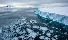 La Antártida pierde una placa de hielo del tamaño de Francia y preocupa a los científicos: "Podría tener repercusiones globales"
