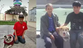 “No saben si va a sobrevivir”: egresado de San Marcos con discapacidad pide ayuda para su padre tras grave atropello en Lince