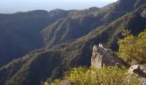 Científicos argentinos descubren una nueva especie de mamífero en el Parque Nacional Traslasierra: vive entre las rocas y se alimenta de plantas