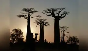 Los amigos peruanos del Baobab, por Eduardo González Viaña