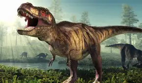 Los científicos descubren que el Tiranosaurio rex tardaba 40 años en alcanzar su tamaño adulto